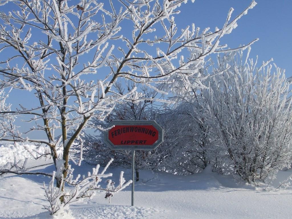 Ferienwohnung Lippert Pullenreuth Esterno foto